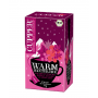 ECO CUPPER WINTER INFUZIE FRUCTE DE PADURE-ANASON, 20 plicuri